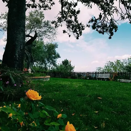 Lantgård Agriturismo Zangarsa *