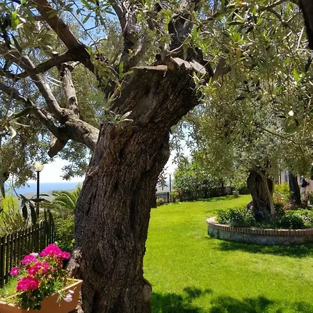 Agriturismo Zangarsa Badolato Marina