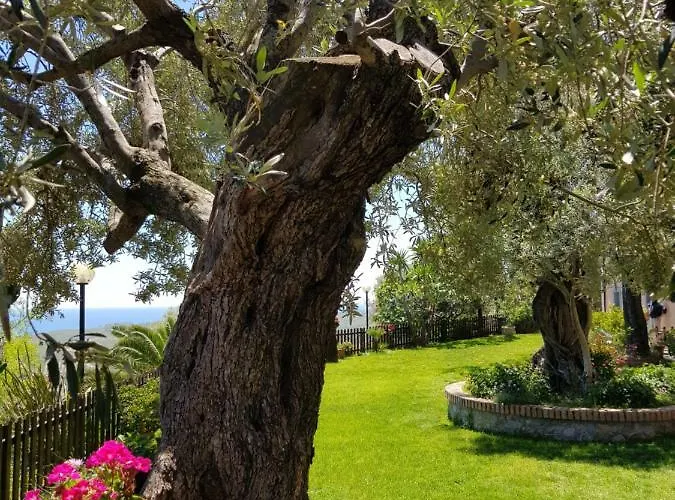 Agriturismo Zangarsa 巴多拉托斯塔兹翁